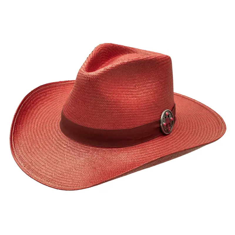 Breakin' Hearts Charlie 1 Horse For Lainey Wilson Cowboy Hat 1