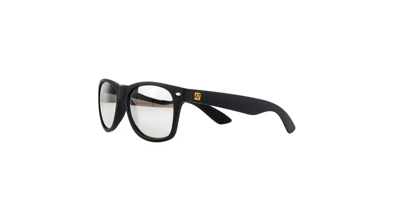 Classic Sunglasses 1