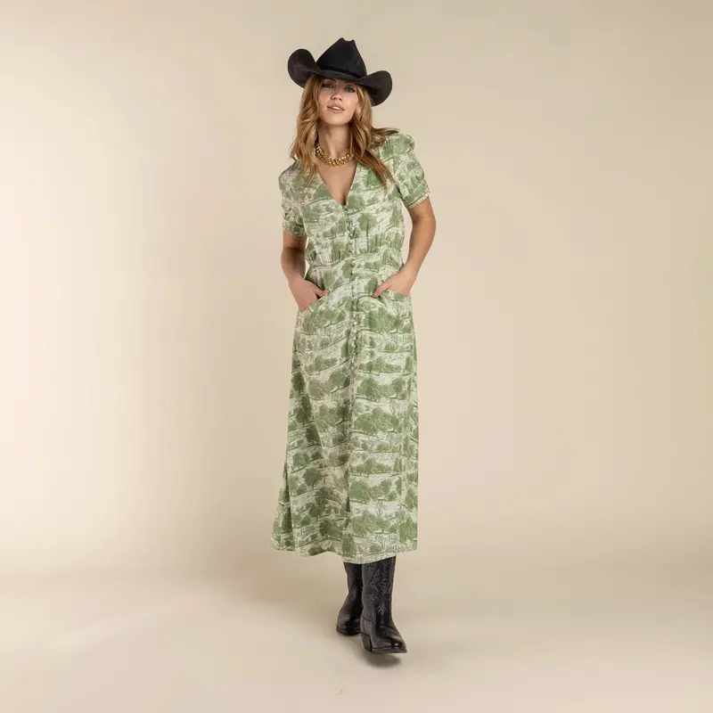 Darcy Dress In Green Toile By Sendero 1