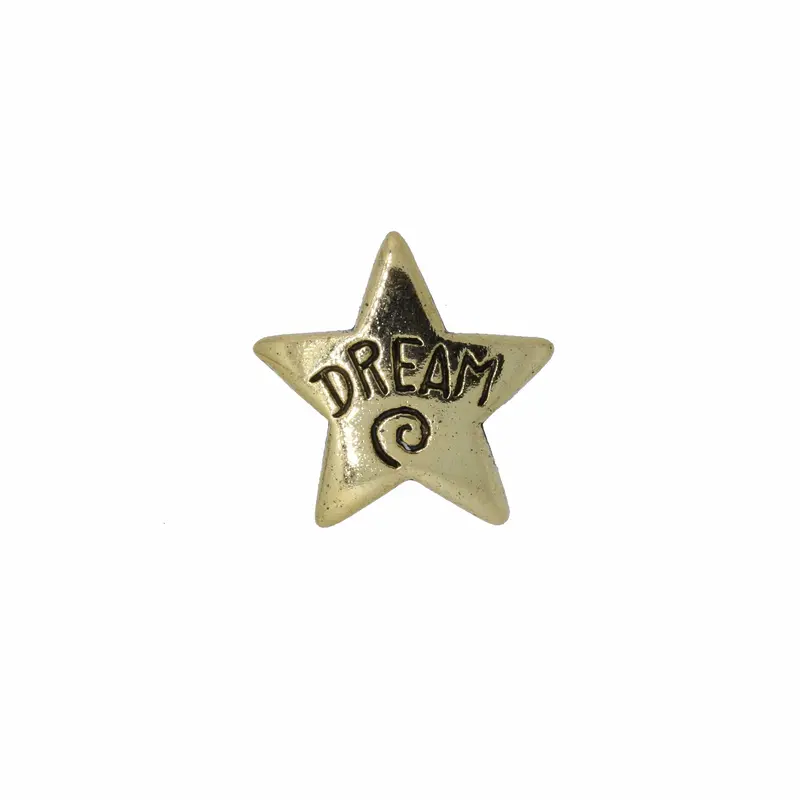 Dream Star Gold Lapel Pin 1