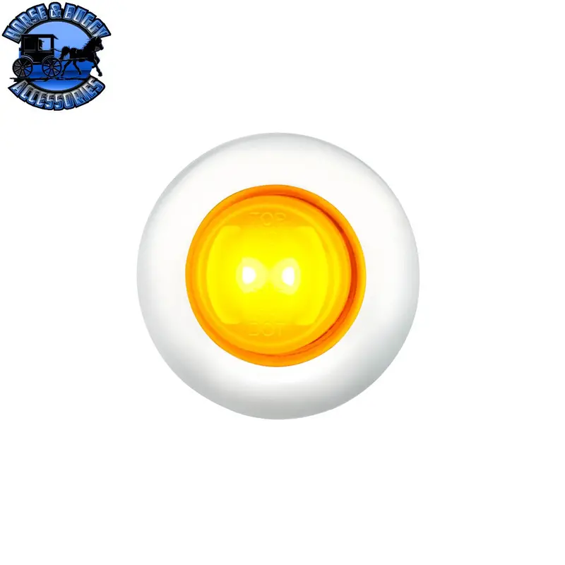 Glolight 2 Led 3/4" Mini Light With Stainless Steel Trim (Choose Color) 1
