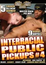 Interracial Public Pickups 4 1