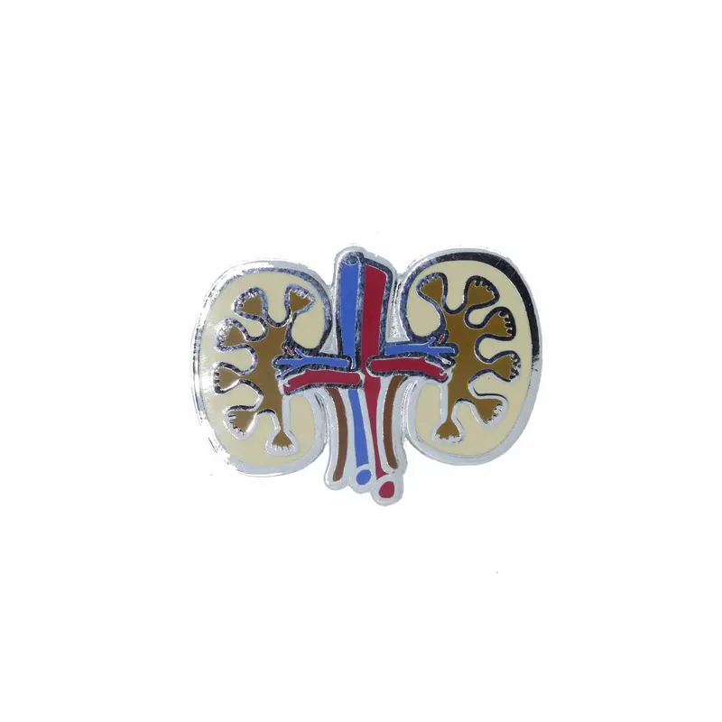 Kidneys Enamel Pin 1
