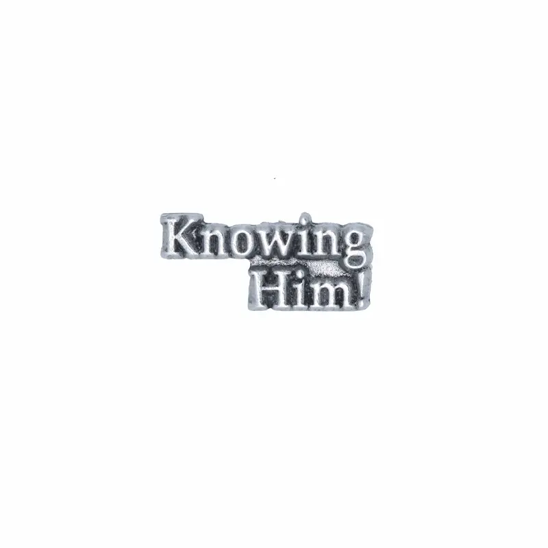 Knowing Him Lapel Pin 1