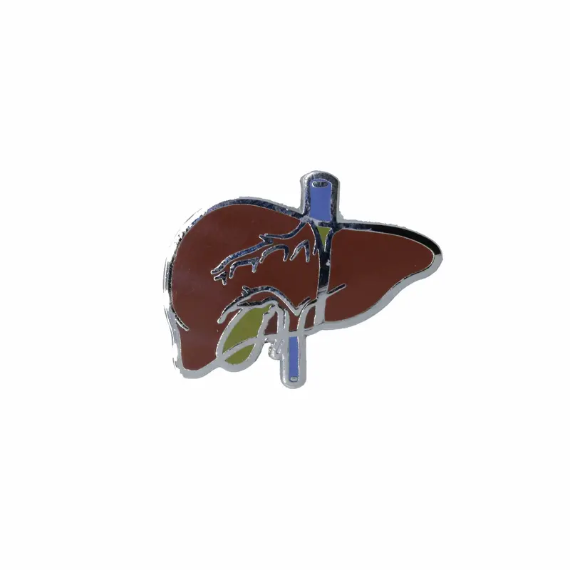 Liver Enamel Pin 1