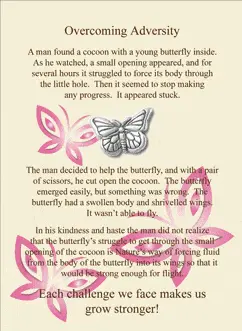 Overcoming Adversity Story Card Pin 1