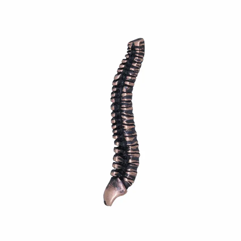 Spine Copper Lapel Pin 1