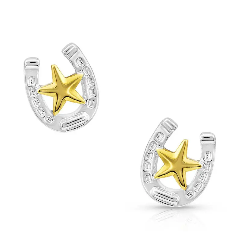 Stars & Horseshoe Post Earrings- Montana Silversmiths For Bourbon Cowgirl 1