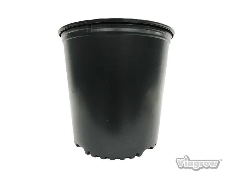 The Harvest Company Viagrow 1/2 Gal. 6.5 In. L X 5.25 In. W X 6.5 In. H Black Indoor/Outdoor Plastic Nursery Pot (Packs) 1