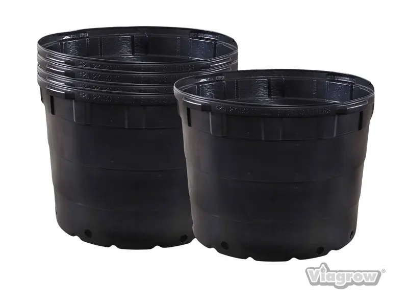 The Harvest Company Viagrow 25 Gal. 24 In. L X 24 In. W X 18 In. H Black Indoor/Outdoor Plastic Nursery Pot (Packs) 1