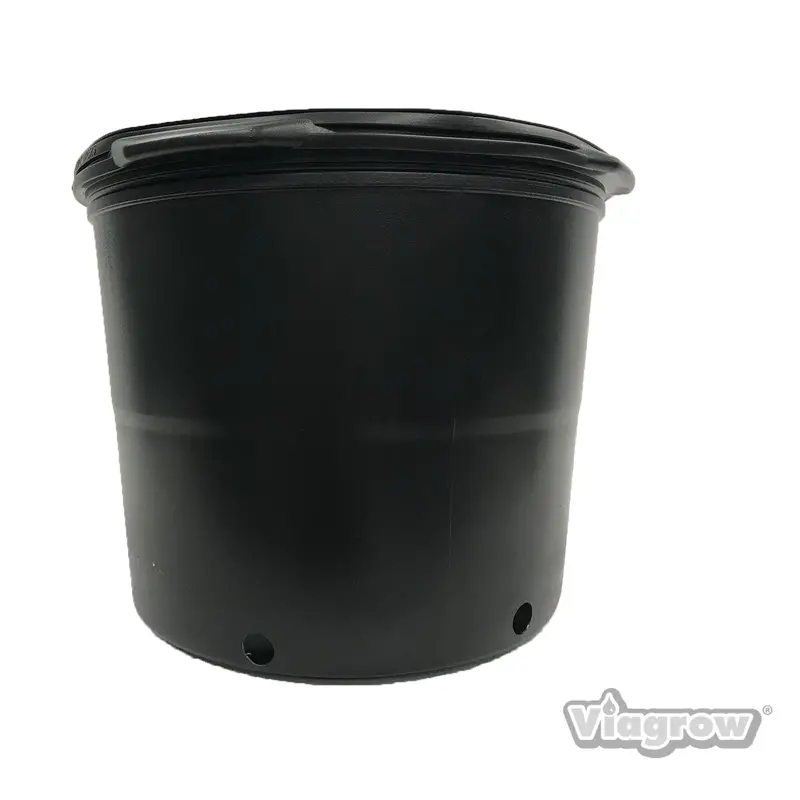 The Harvest Company Viagrow 7 Gal. 15 In. L X 11.75 In. W X 11.5 In. H Black Indoor/Outdoor Plastic Nursery Pot (Packs) 1