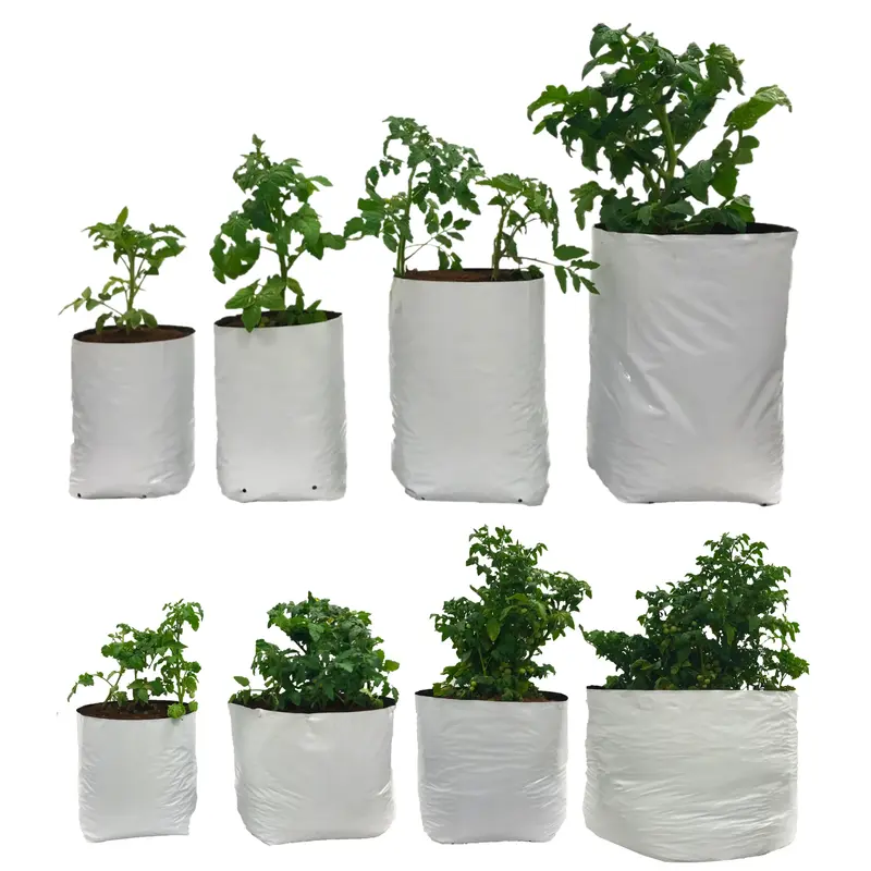 The Harvest Company Viagrow Plastic Grow Bags, Reversible Black/White Virgin Pp With Drainage Holes, Indoor/Outdoor Planting (Big Packs) 1